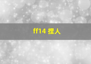 ff14 捏人